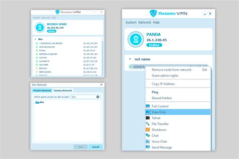 radmin vpn download.